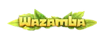 wazamba-pl.top